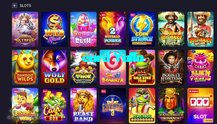 available types of 3card Yalla bet including pre-match live express and system bets